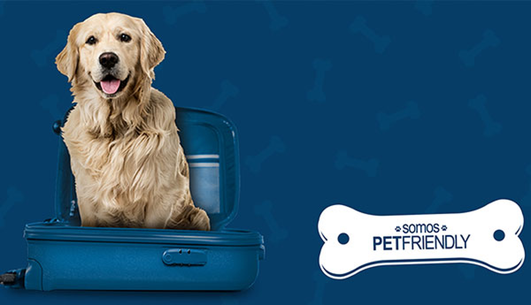 ¿quieres viajar con tu mascota? Hotel ILUNION Alcora Sevilla